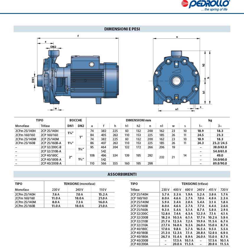 Pompa Pedrollo 2CPm 25-140H DIMENSIONI E PESI