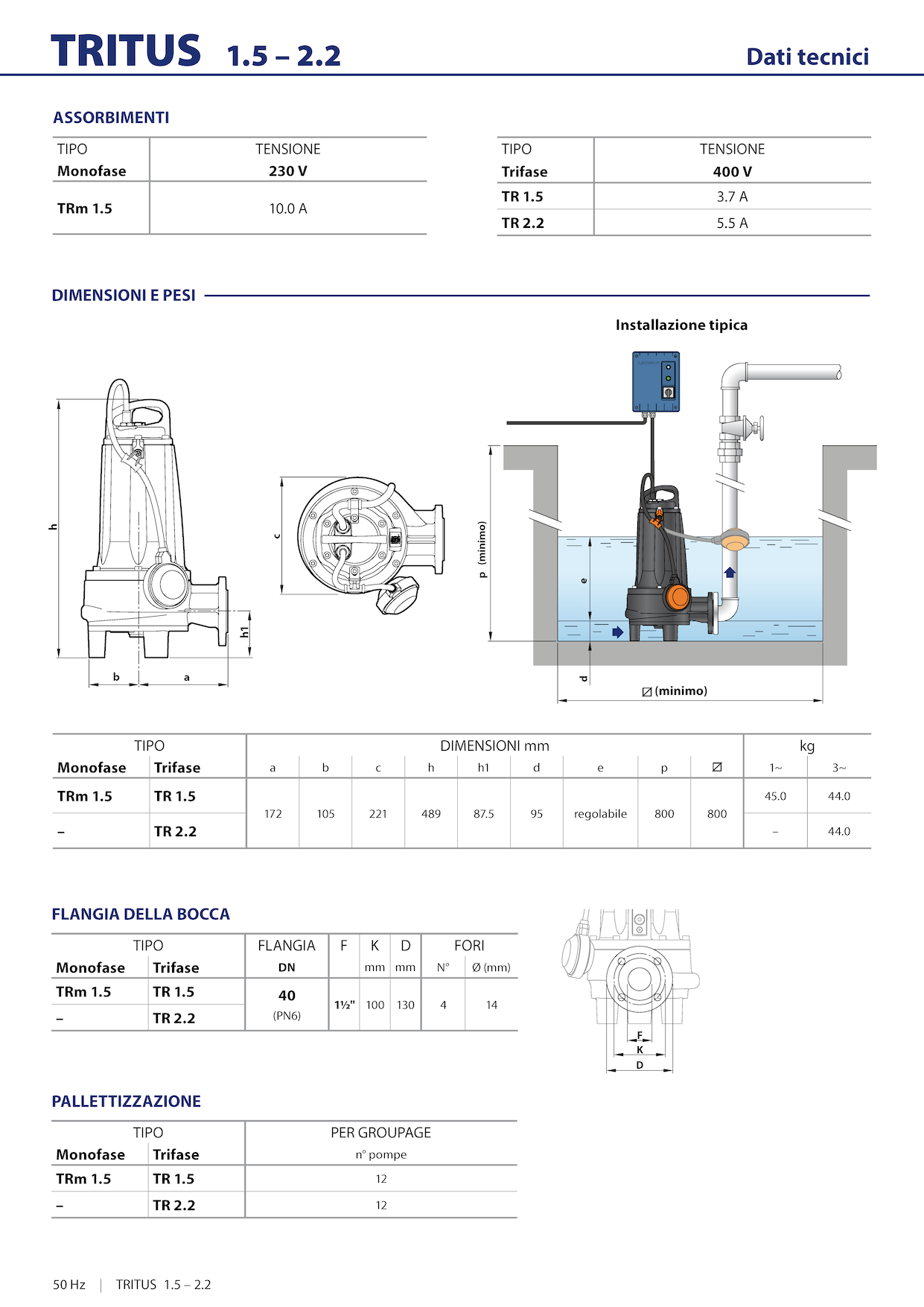 PEDROLLO TR 1,5 Dati tecnici